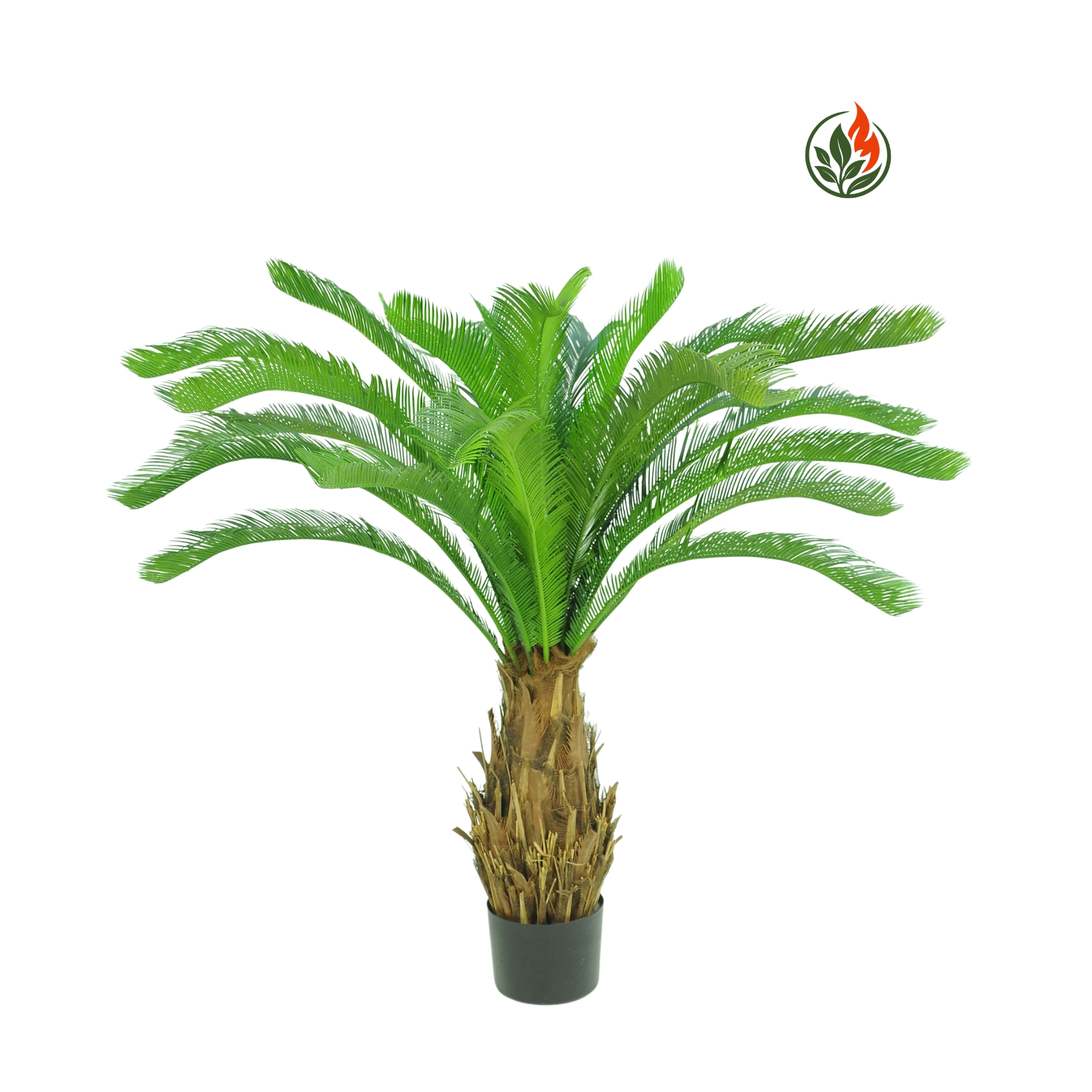 BPD60-5379L-FR Palma Cykas na Pniu 66 cm FR