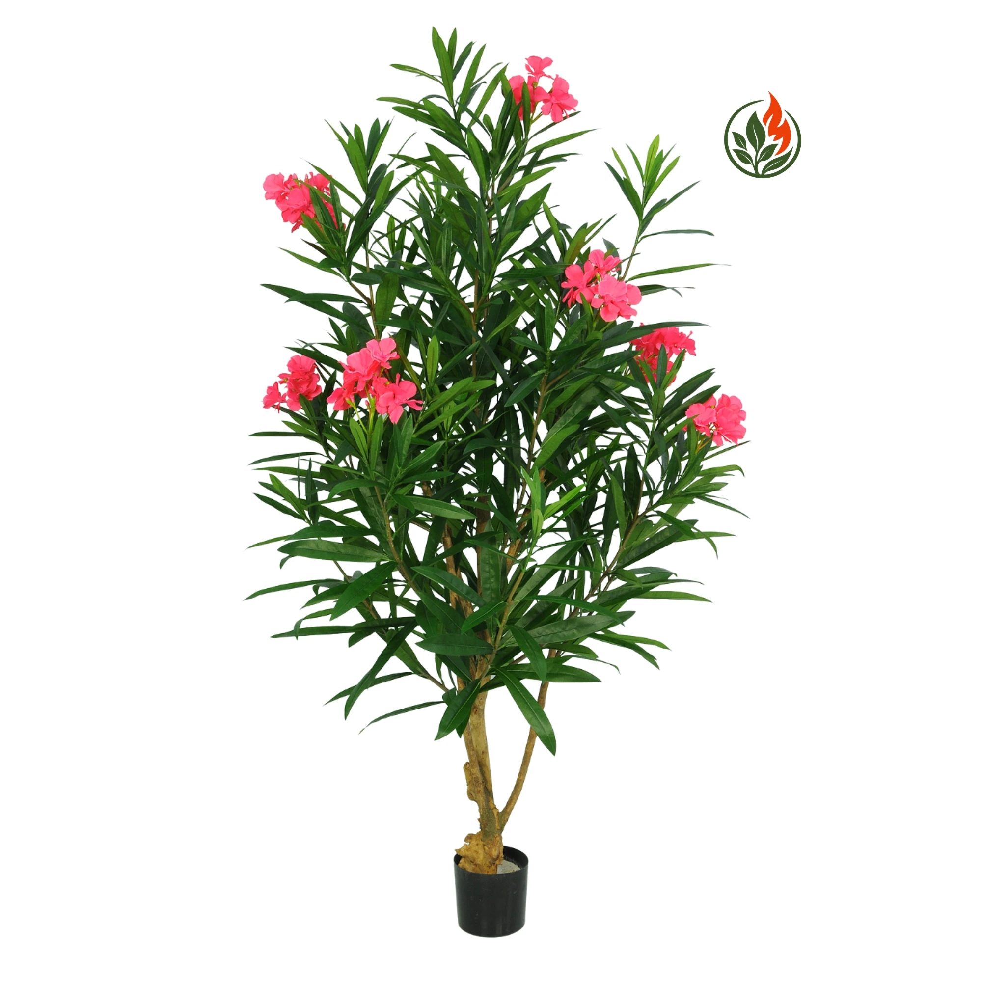 BPD90-749L-34K-FR (1) Oleander Różowy 90 cm FR