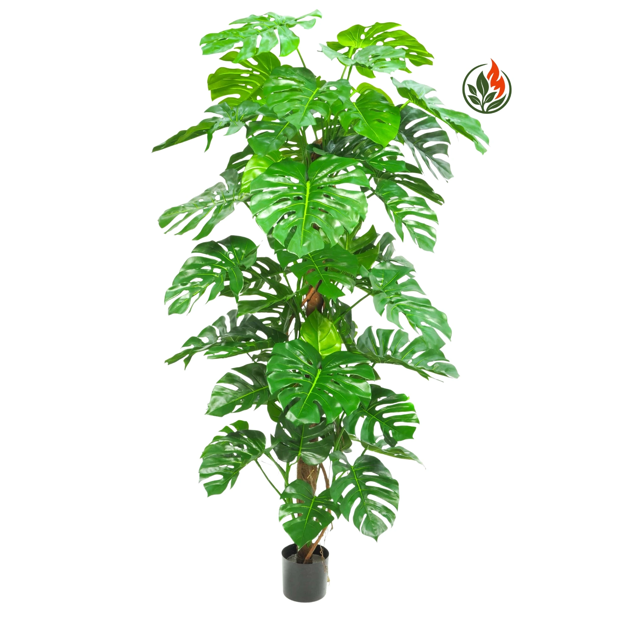 Monstera na Pniu 170 cm FR