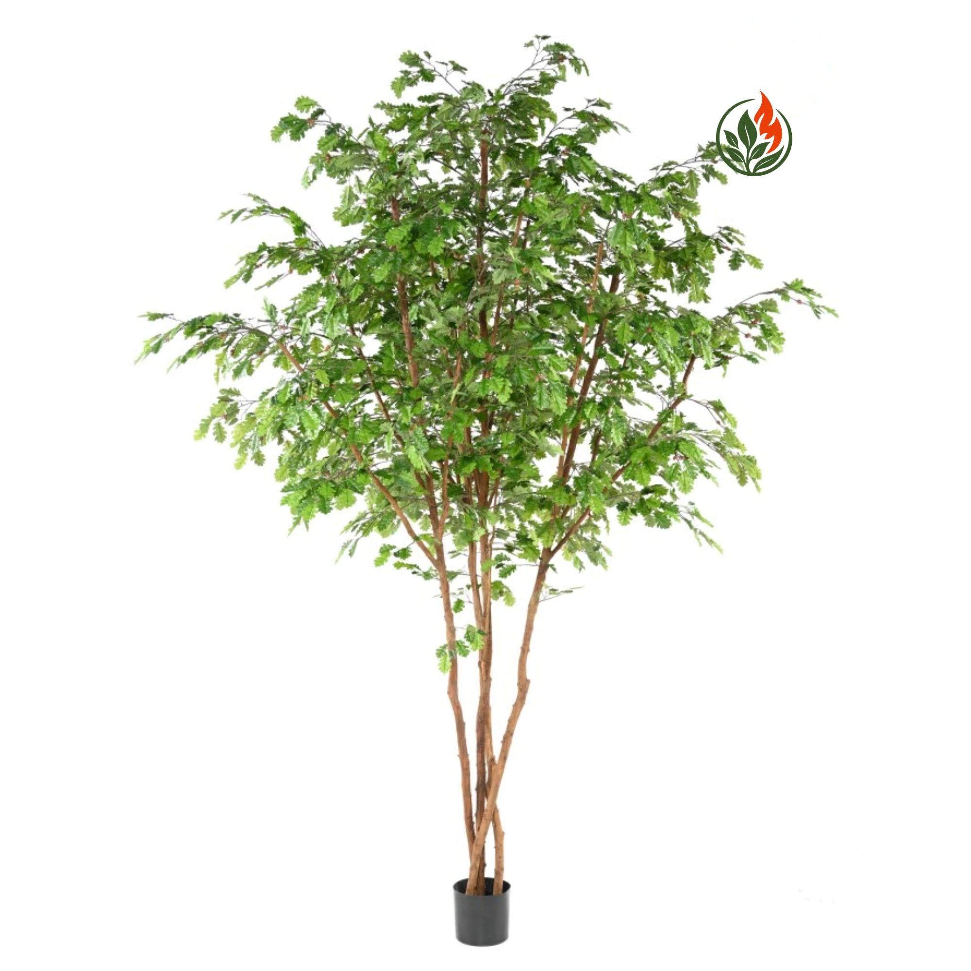 Dąb 330 cm FR