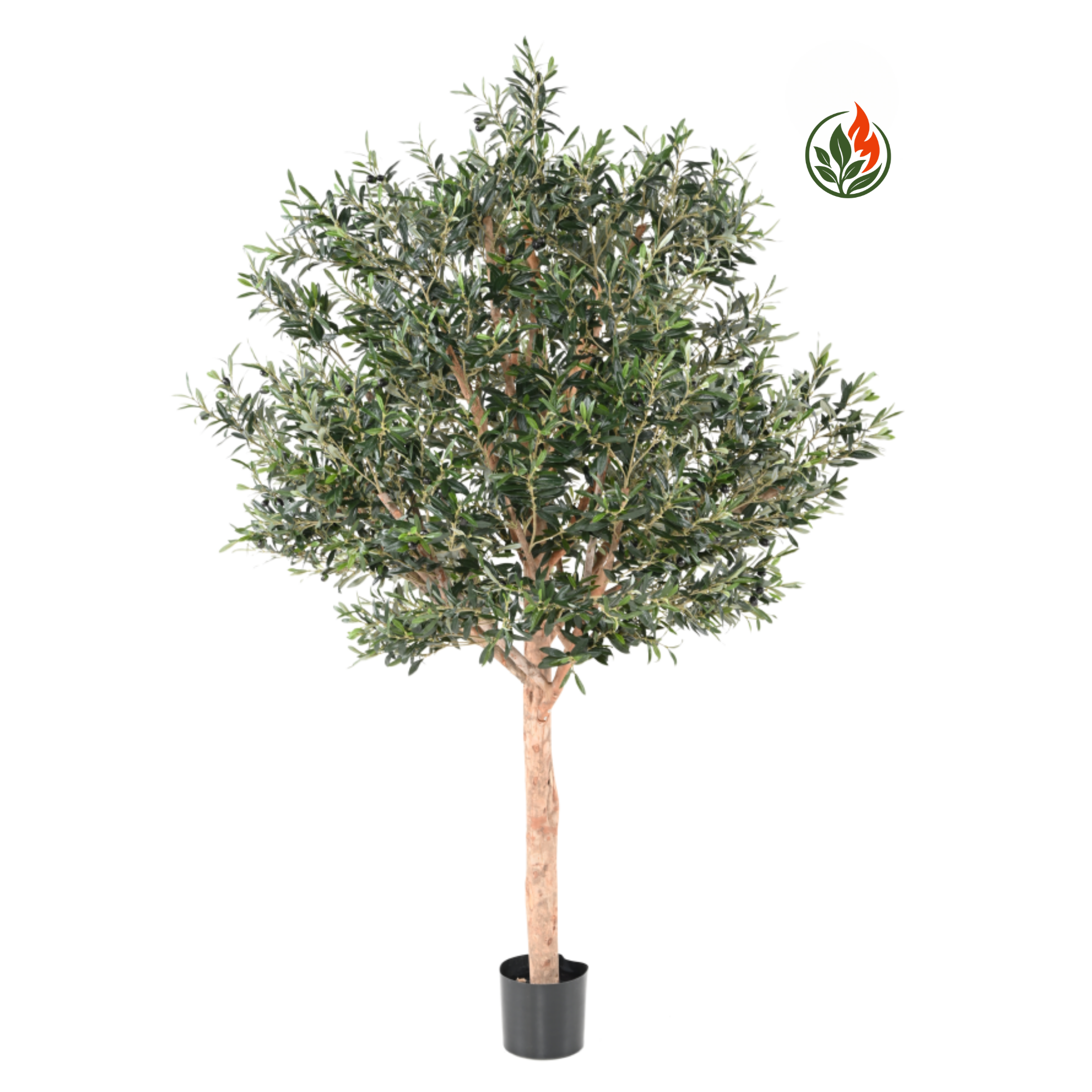 Oliwka Luksusowa 210 cm FR