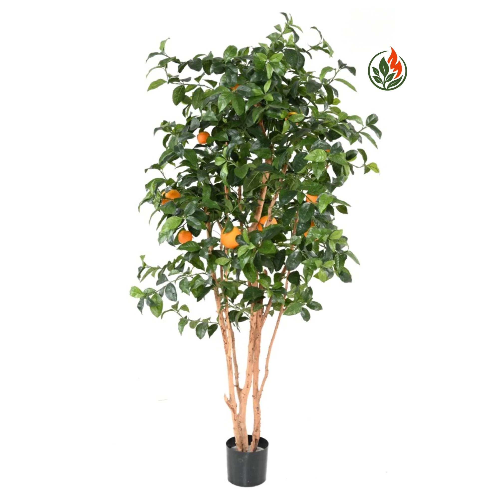 Drzewo Mandarynkowe 180 cm FR