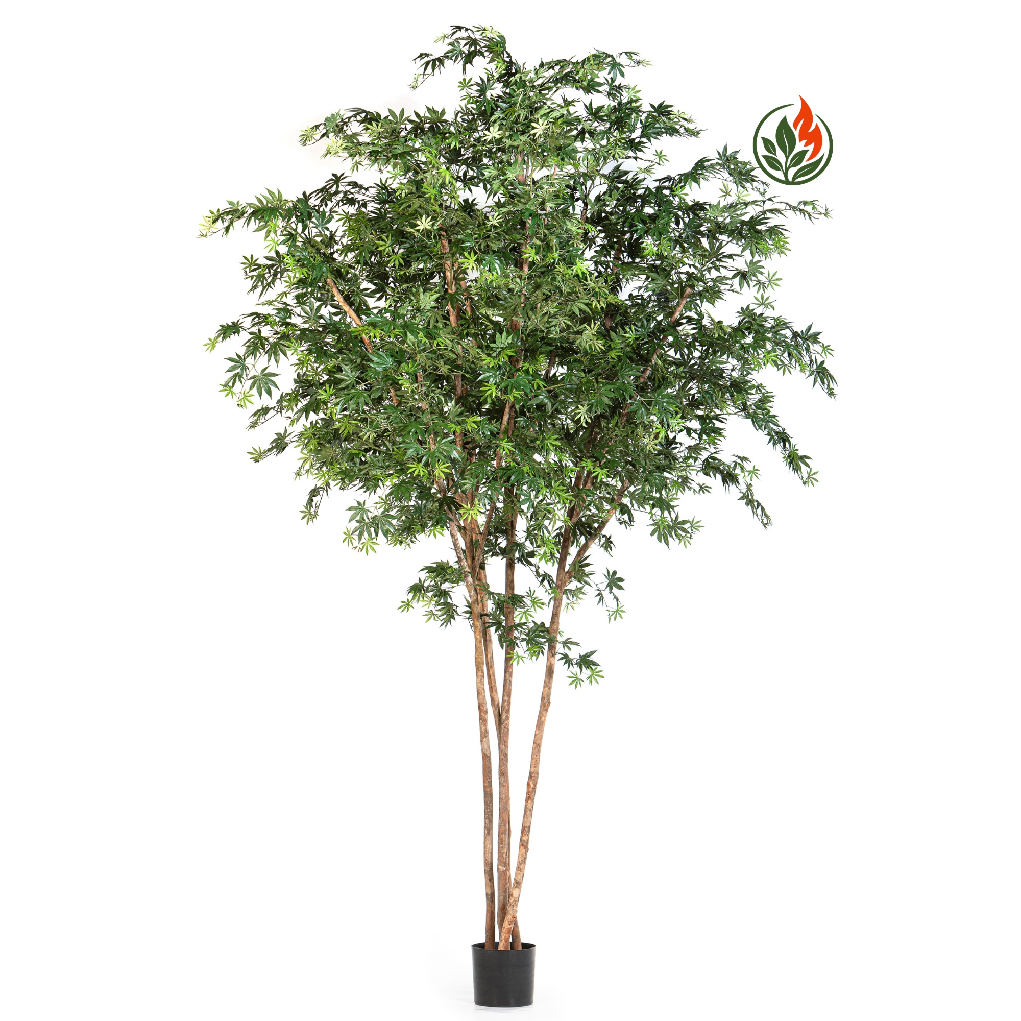 Bucidda 330 cm FR
