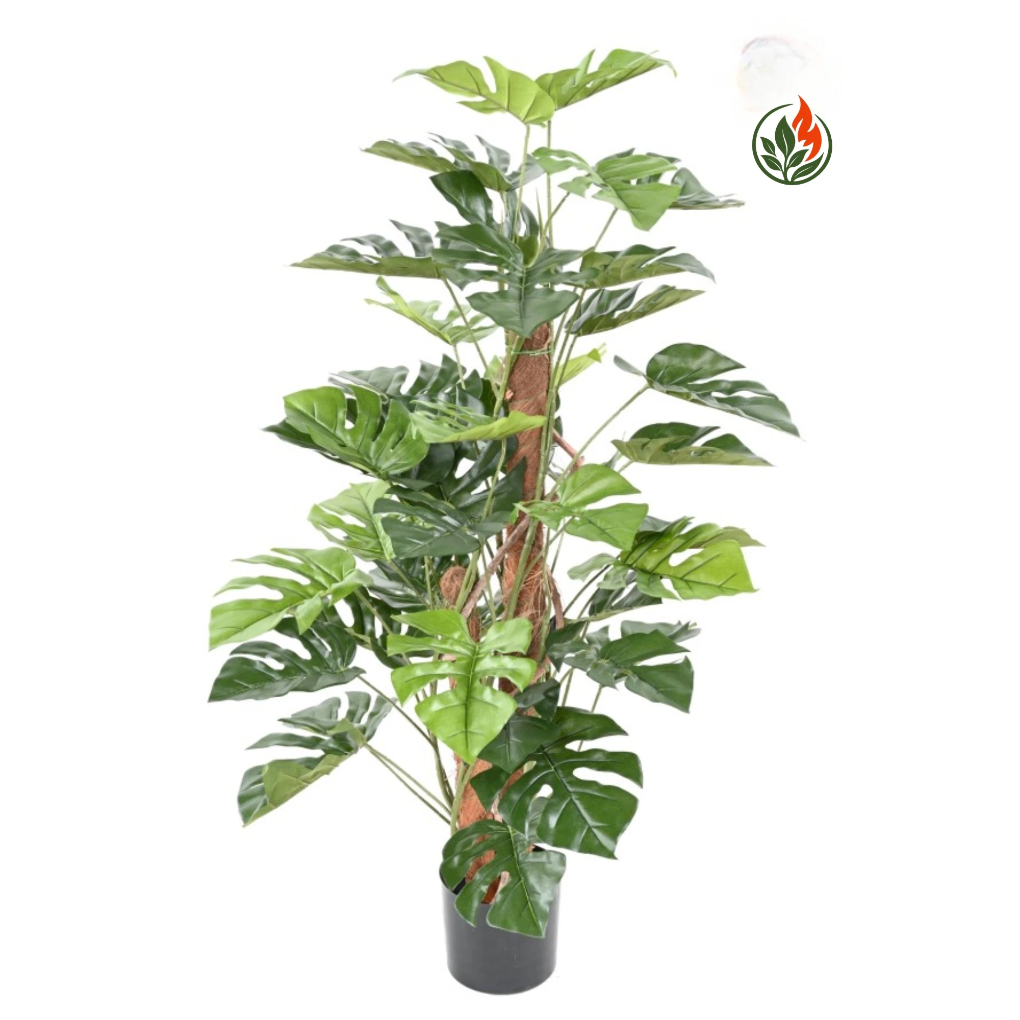 Monstera na Pniu 120 cm FR