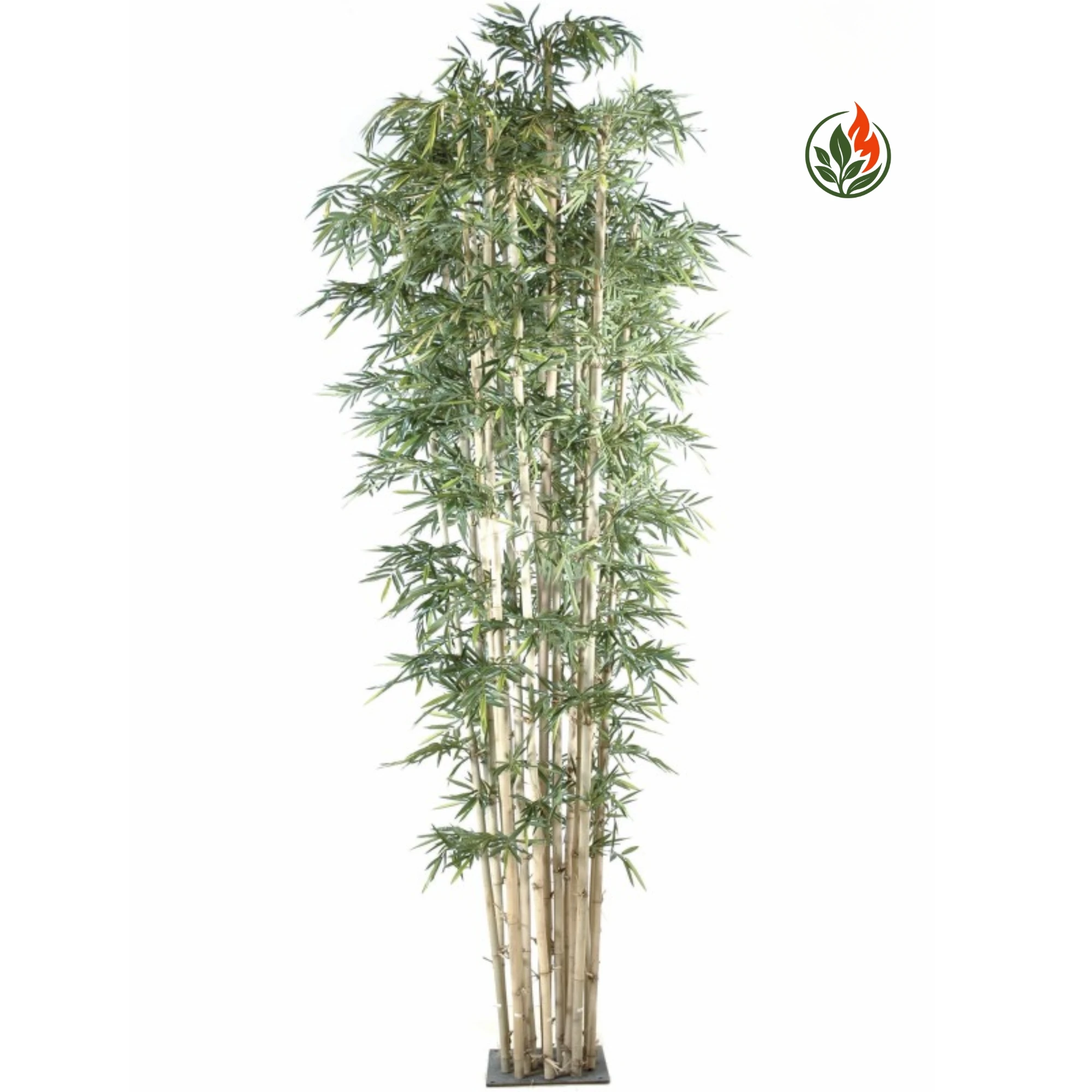 EX2615115FR Bambus New Giant 510 cm FR