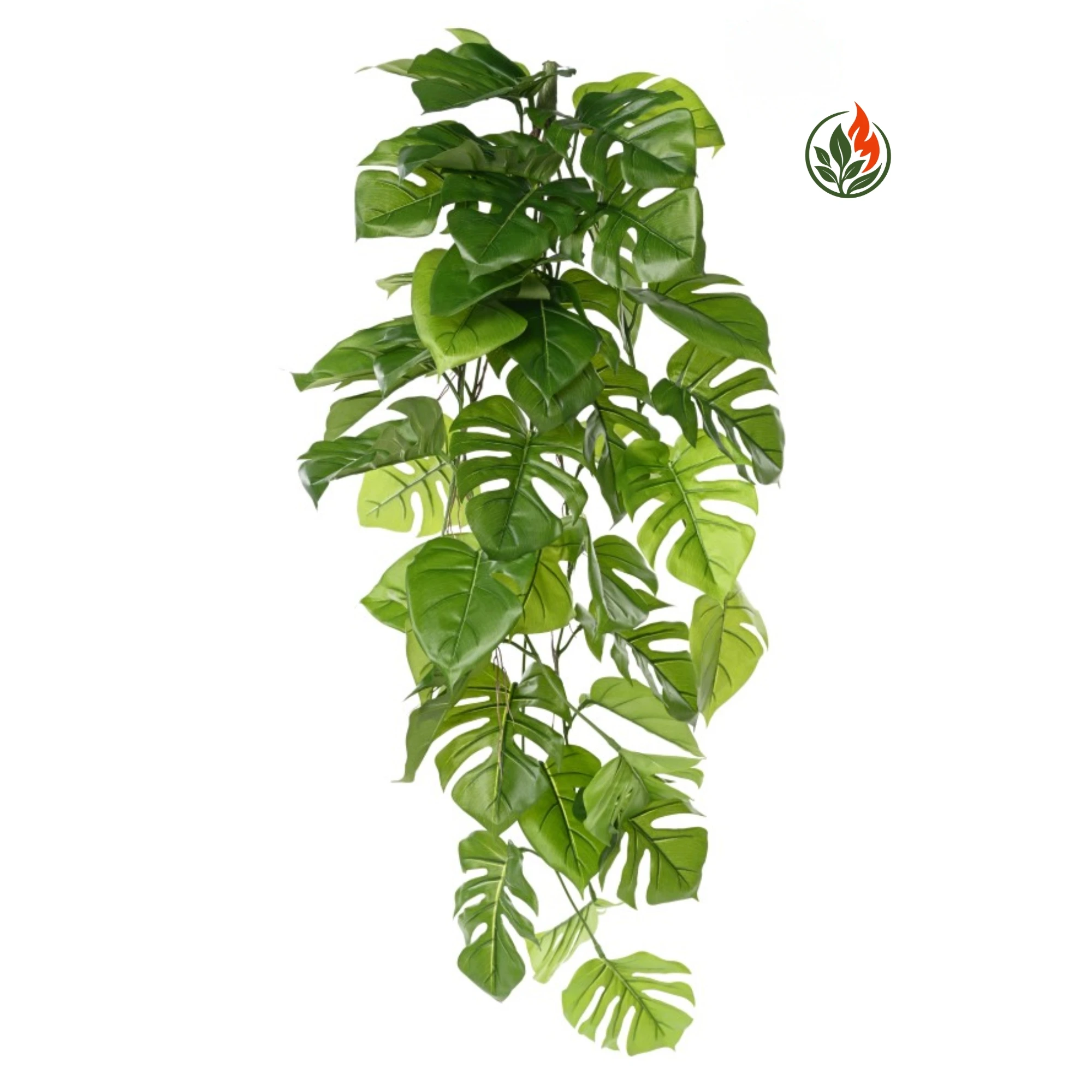 EX2621816FR Monstera Wisząca 120 cm FR