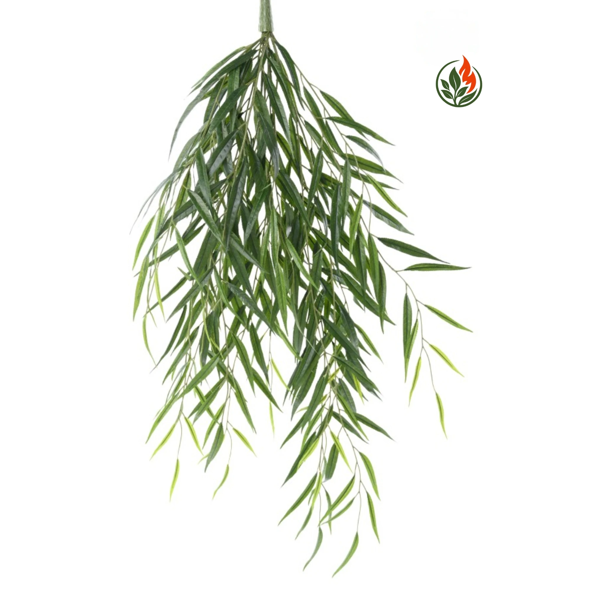 Wierzba Wisząca 105 cm FR