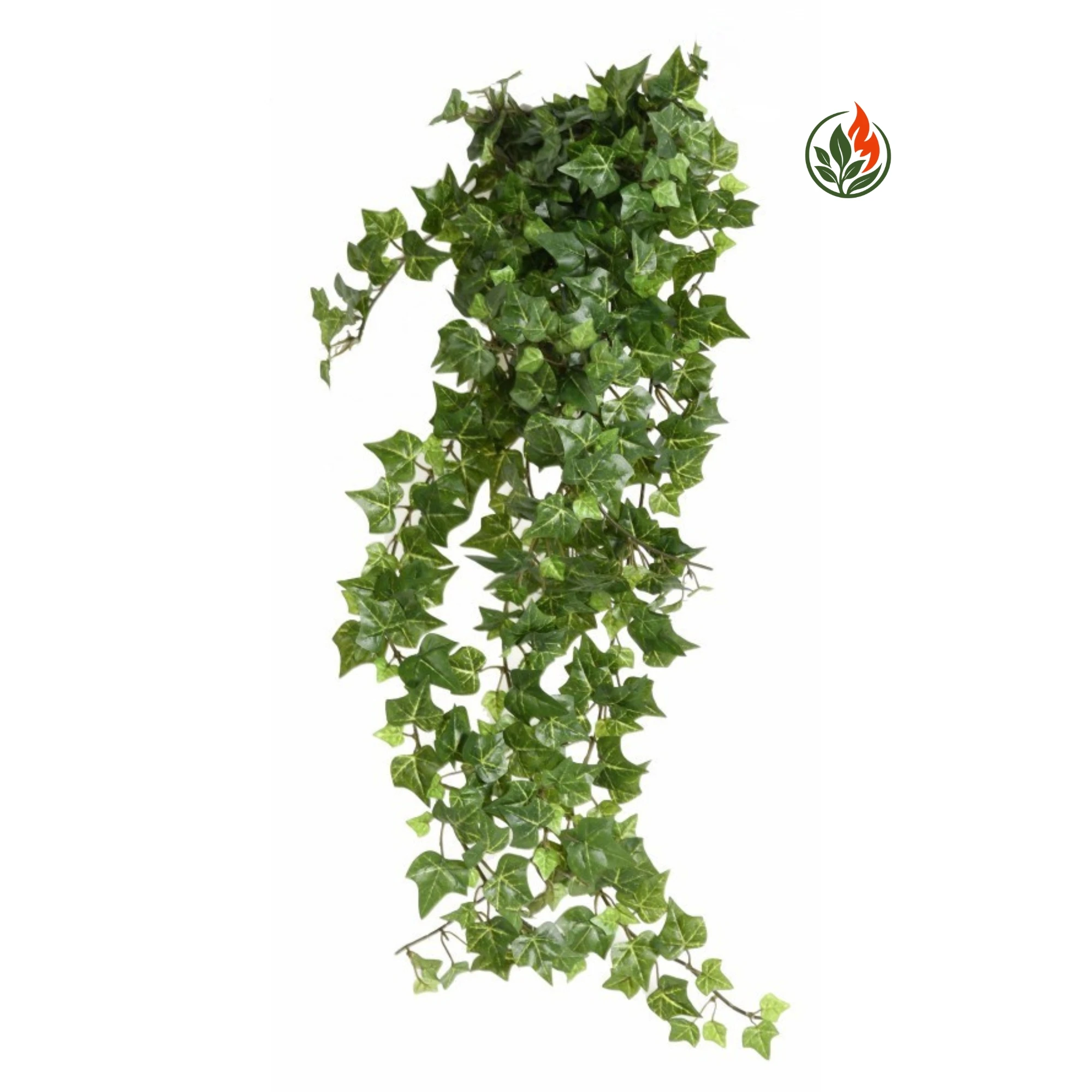 EX262349371FR Bluszcz Hedera Zielony 60 cm FR