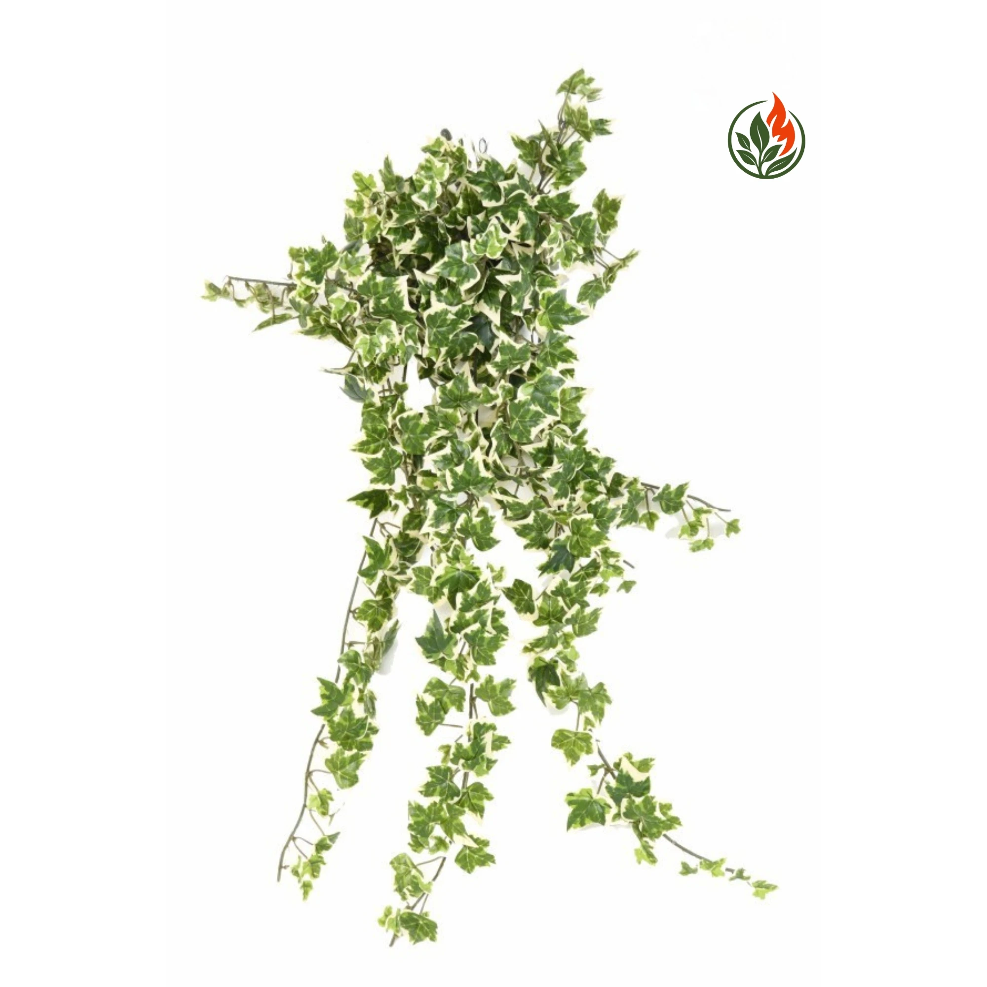 EX262349373FR Bluszcz Hedera Biało - Zielony 60 cm FR