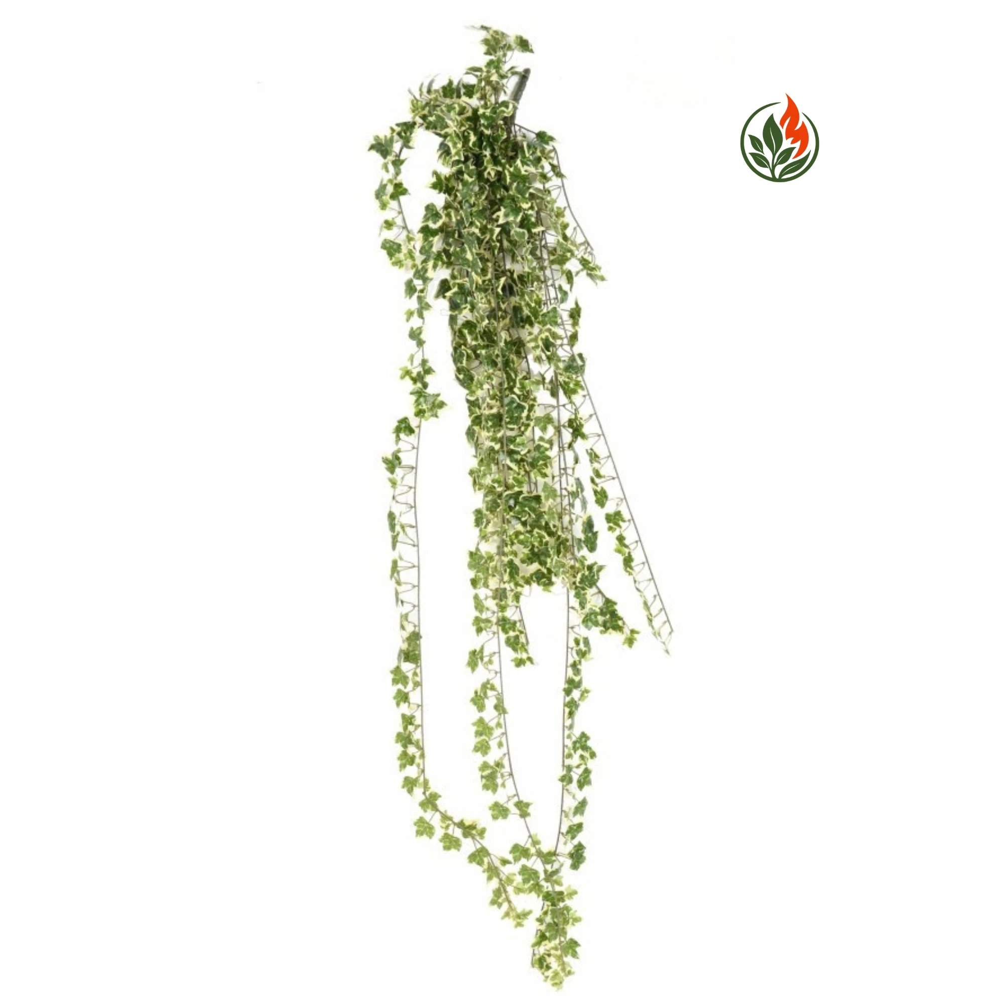 EX262349473FR Bluszcz Hedera Biało - Zielony 130 cm FR