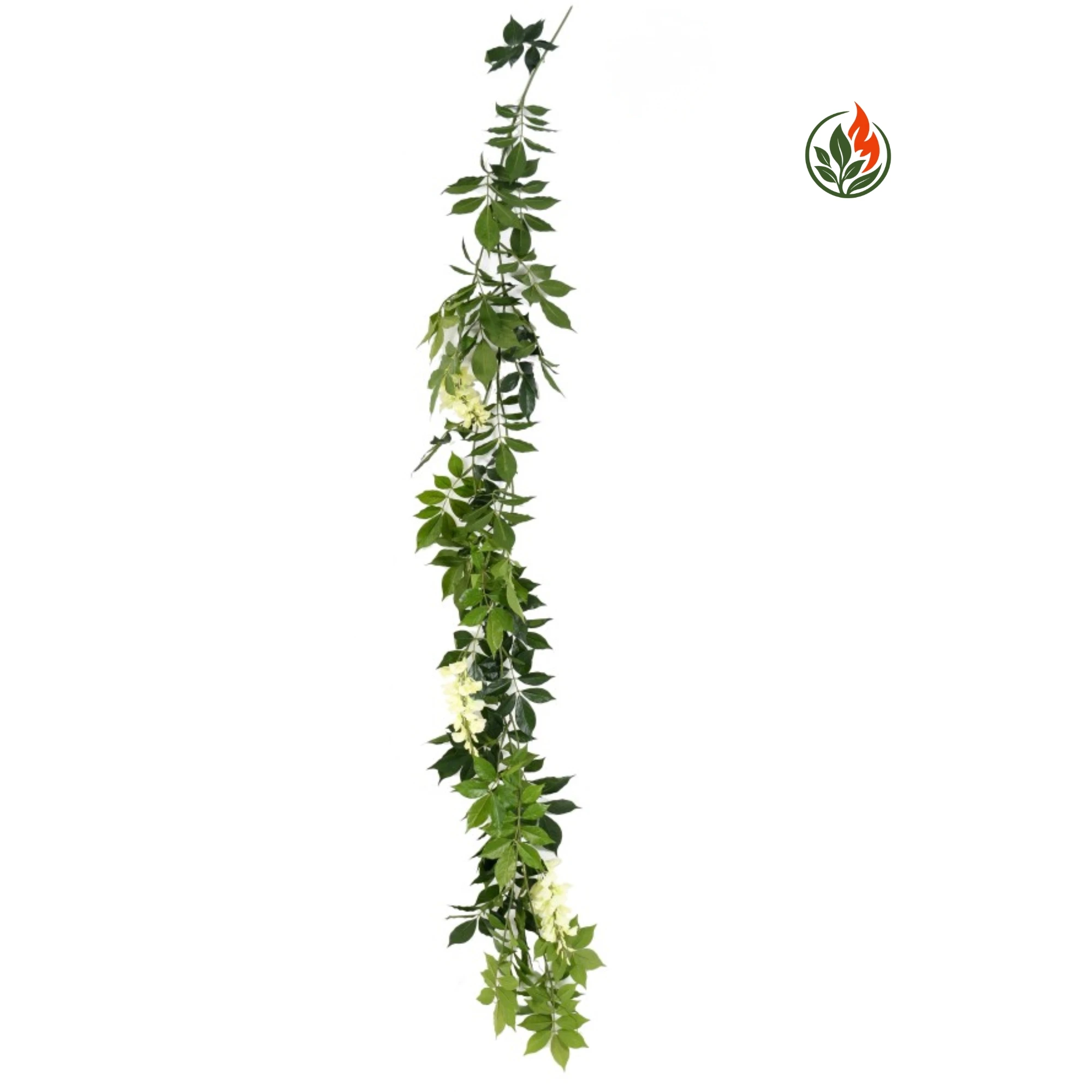 EX26301466FR Wisteria Kremowa - Girlanda 180 cm FR