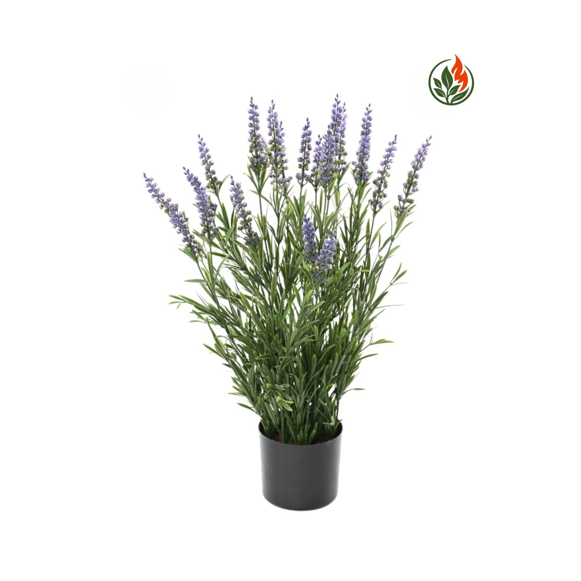 EX263028UVFR Lawenda Niebieska 55 cm UV FR