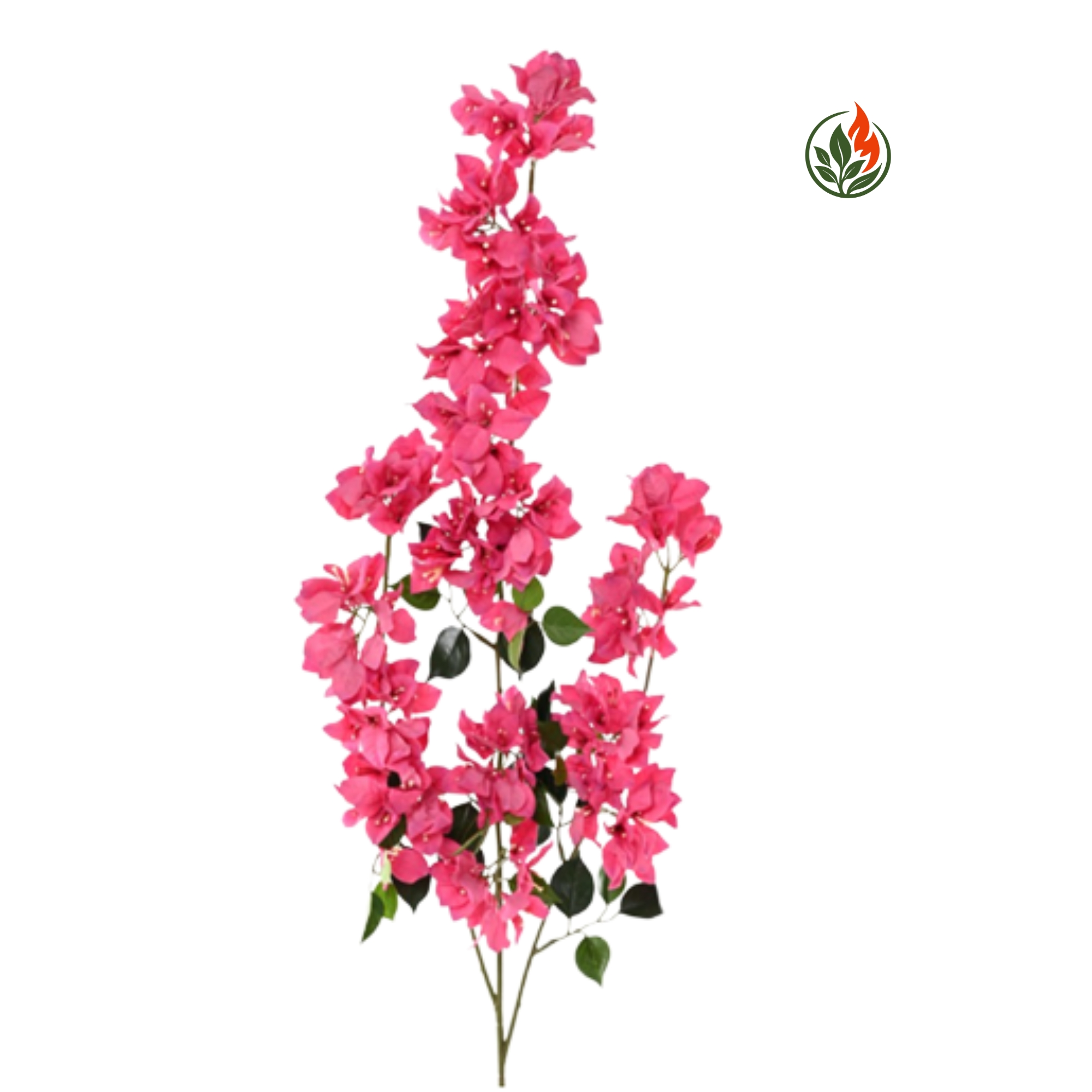 EX26531025FR Bugenwilla Fuksja - Gałązka 85 cm FR